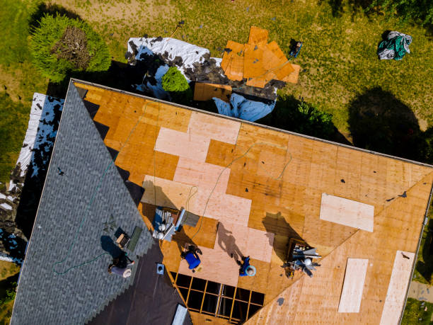 Best Commercial Roof Installation  in Farmerville, LA