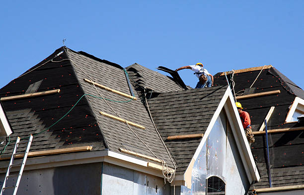 Best Roof Gutter Cleaning  in Farmerville, LA