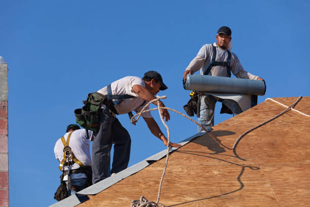 Roof Gutter Cleaning in Farmerville, LA